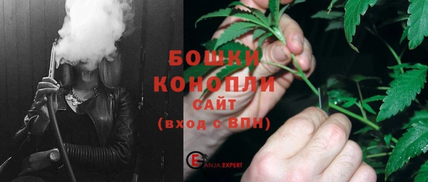 дживик Бронницы