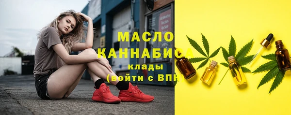 гидра Рославль