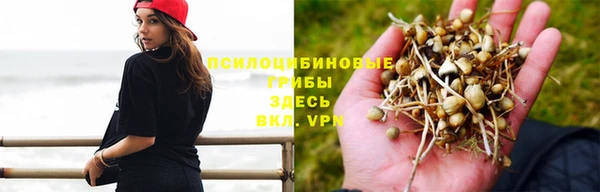 каннабис Верея