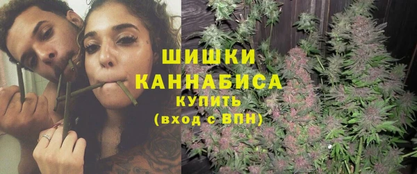 сатива Верхний Тагил
