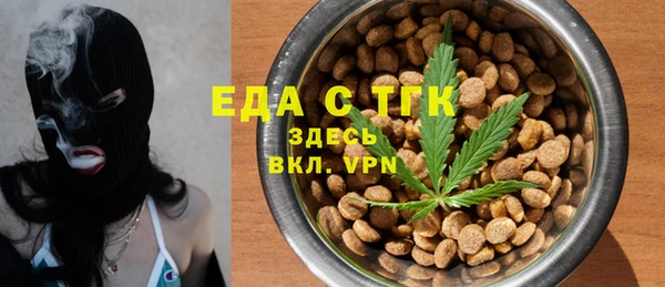 дживик Бронницы